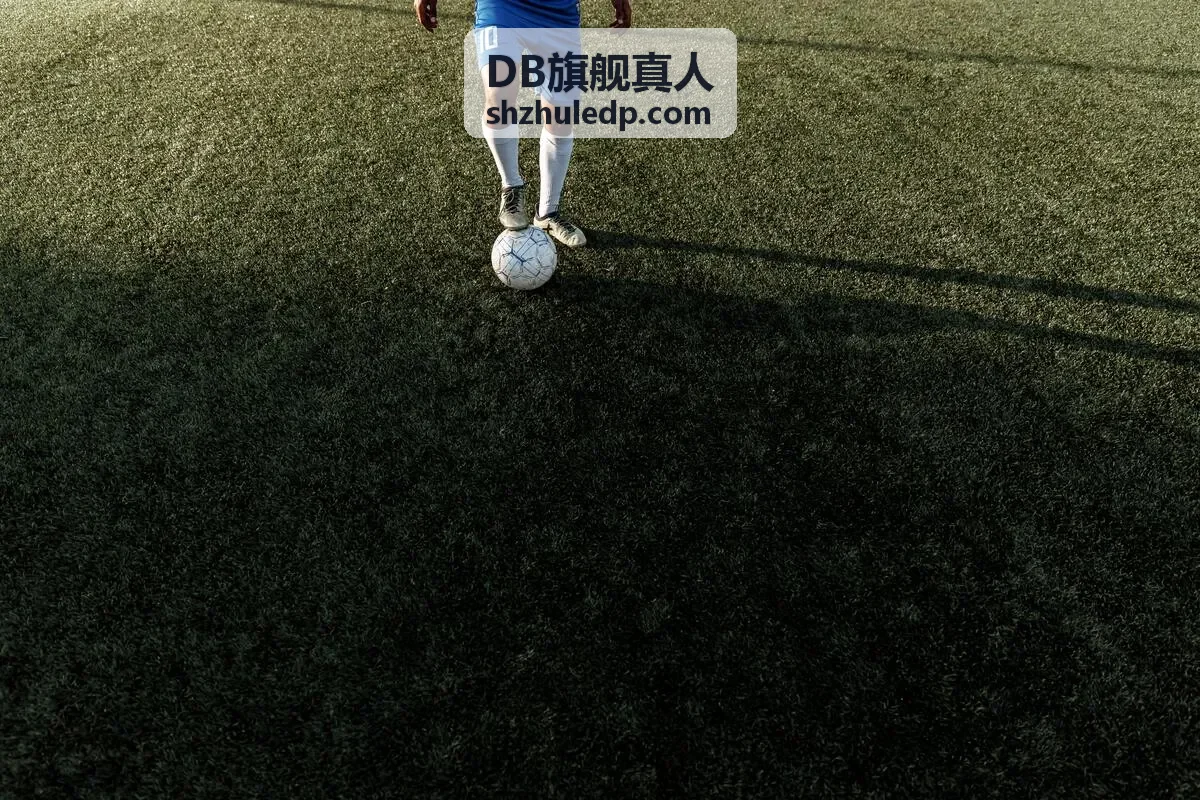 DB旗舰真人价格透明