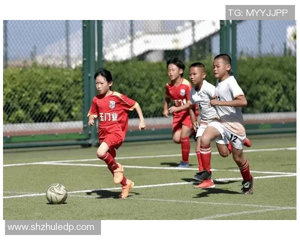 足球比塞的魅力与挑战探讨如何提升比赛观赏性与竞技水平